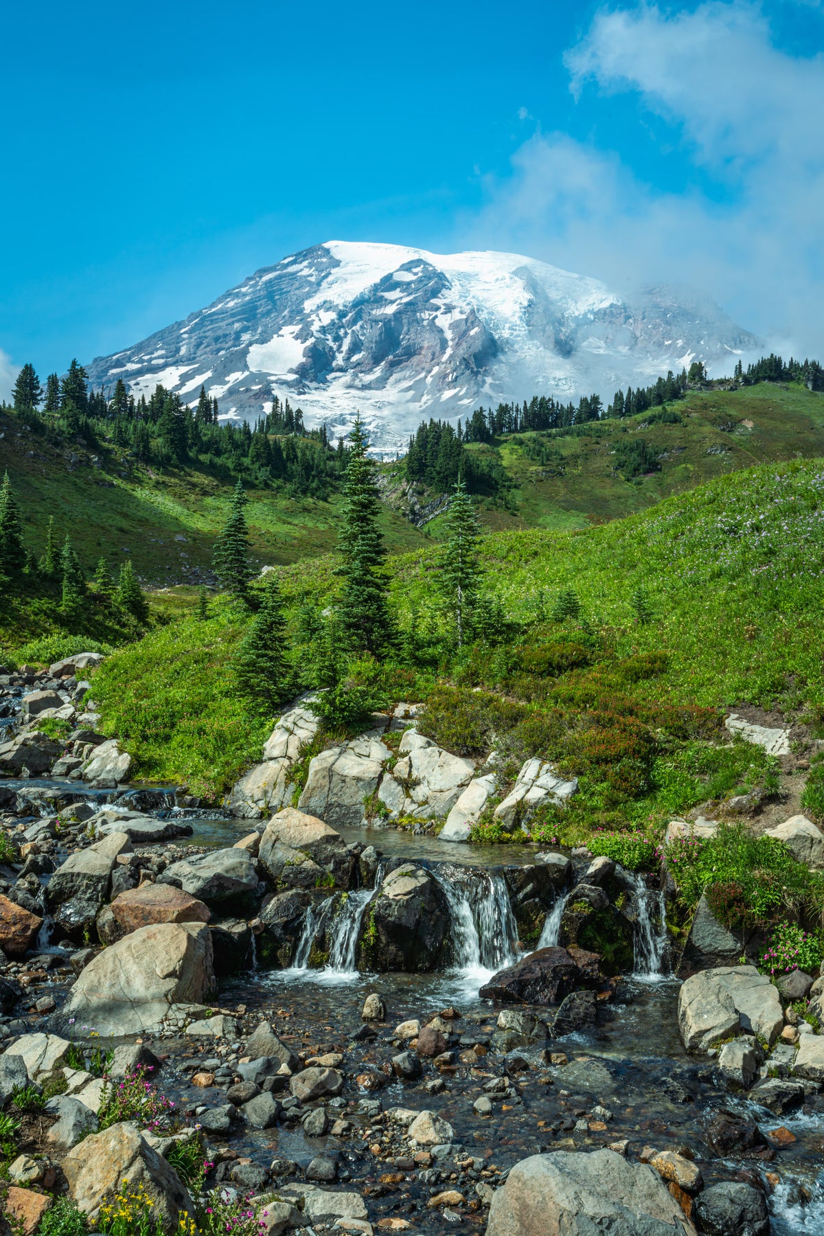 Mount Rainier above Edith Creek - Acrylic Print
Rectangular portrait image of glacier-clad Mount Rainier above Edith Creek.  The sky is bright blue, the hills bright green, and a shallow waterfall spills over rocks in the foreground.