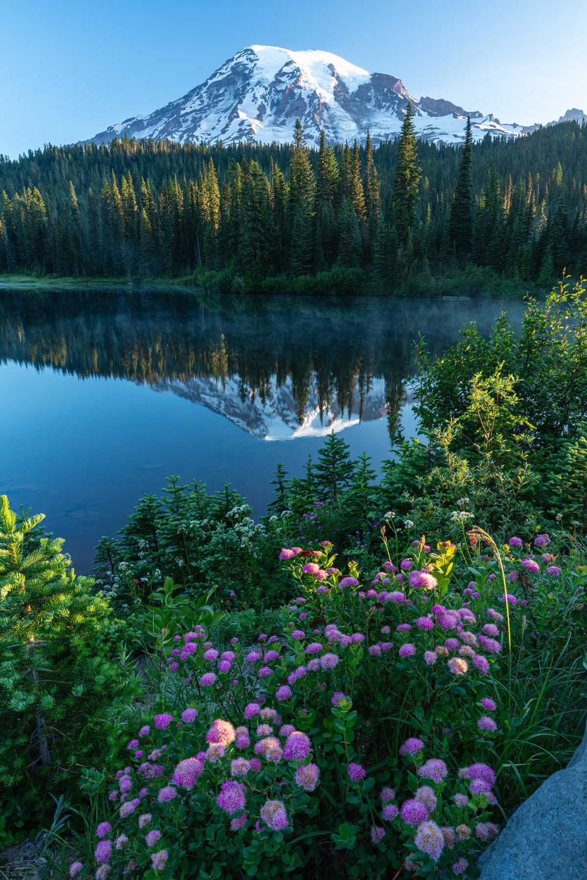 Mt Rainier Morning Reflection - Acrylic Print
Rectangular portrait of glacier-clad Mount Rainier and a clear blue sky reflected on water, with pink wildflowers in the foreground
