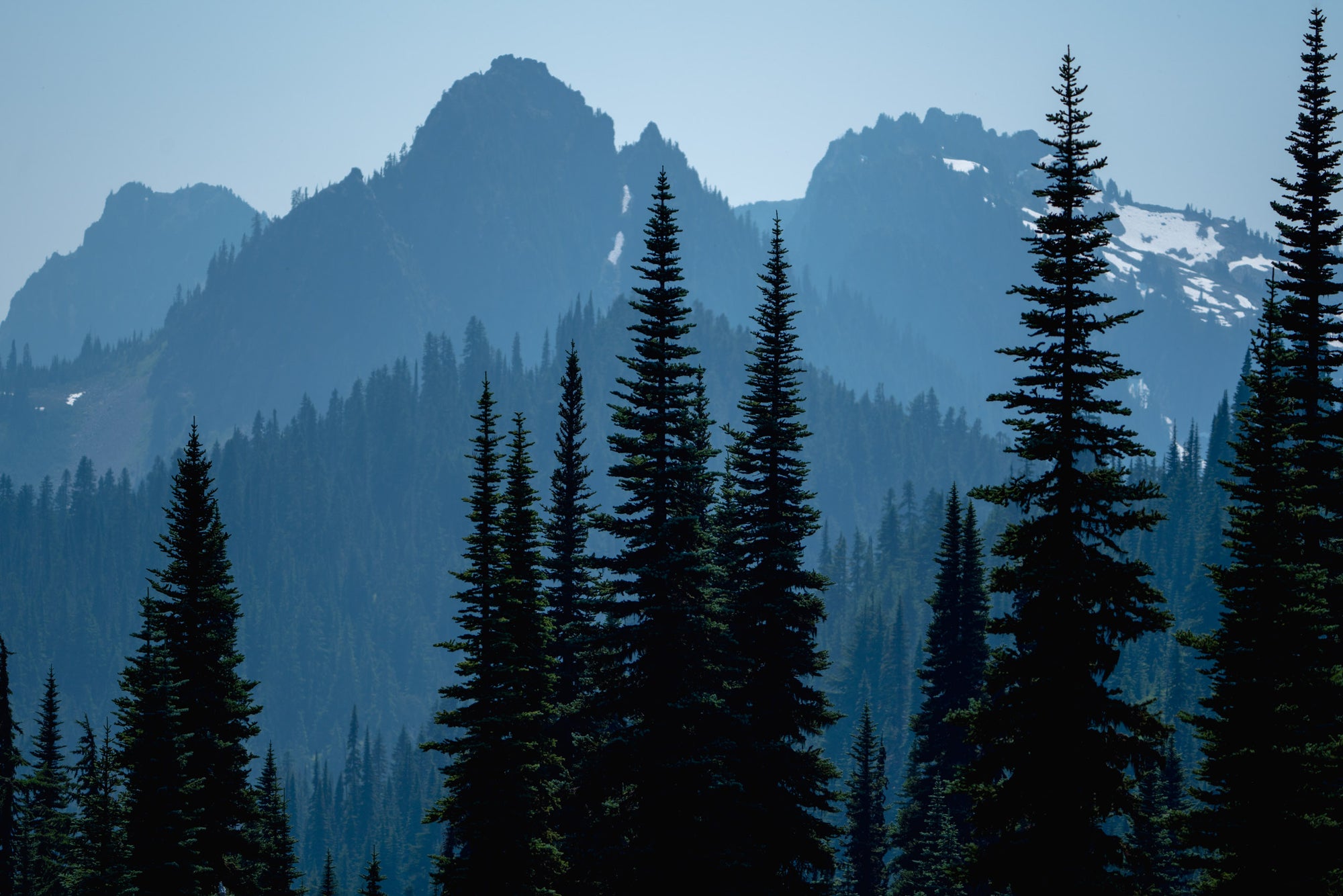 Tatoosh Range in Blue- Metal Print
Rectangular landscape image showing four layers of mountain peaks wreathed in blue smoke haze.  There are tall, skinny fir trees silhouetted in the foreground.