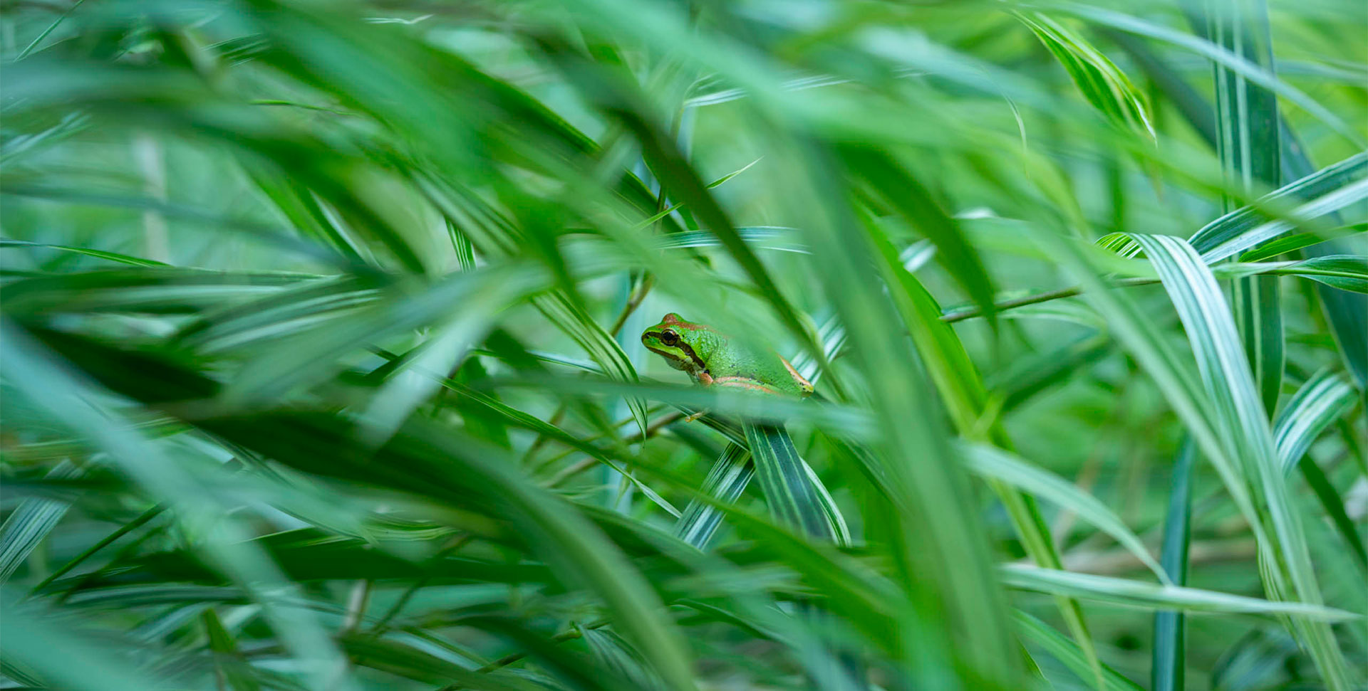 About Erin - Devotion Photography in the Methow Valley
