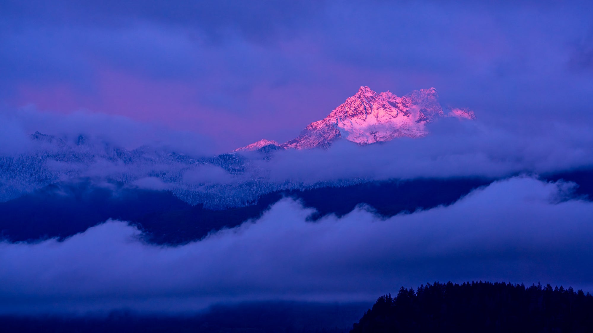 The Brothers Pink Olympic Sunrise - Metal Print