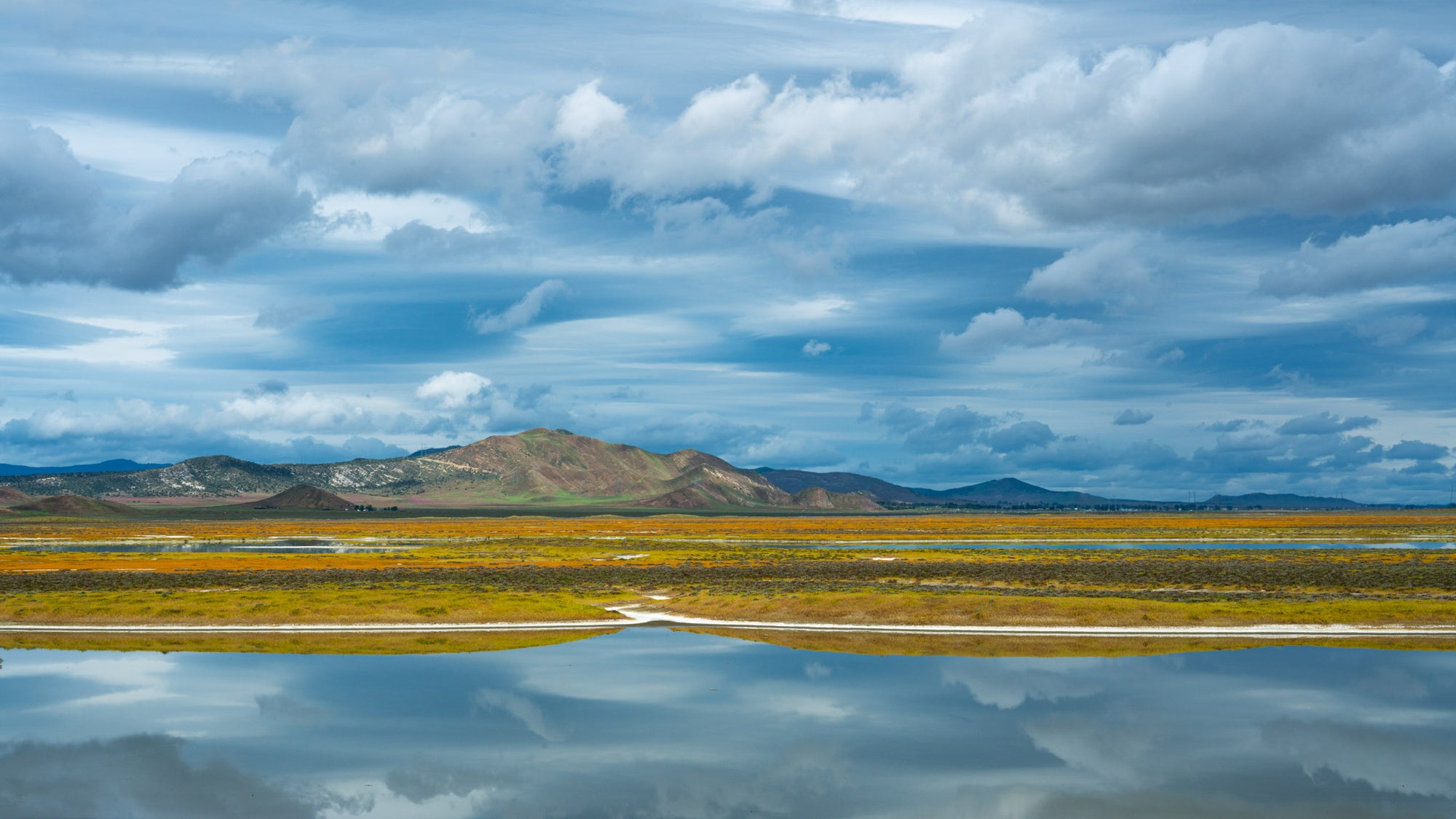 Soda Lake at Carrizo Plain National Monument - Metal Print