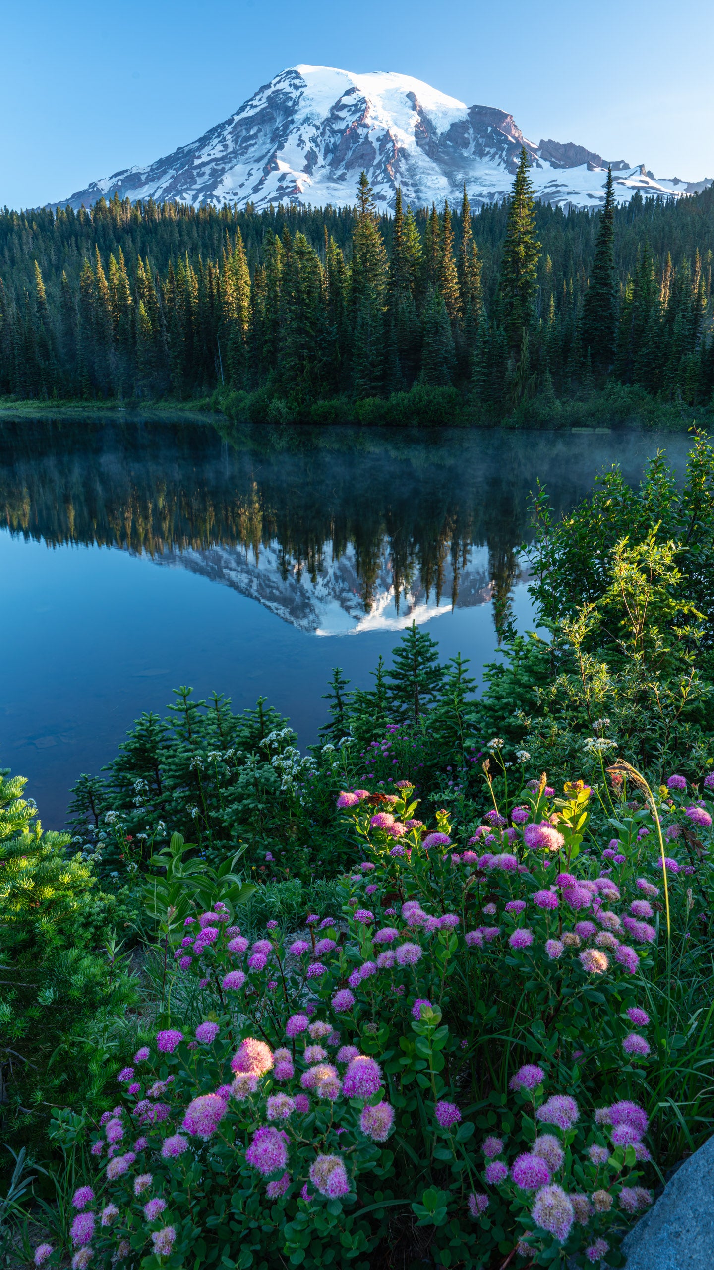 Mt Rainier Morning Reflection - Metal Print