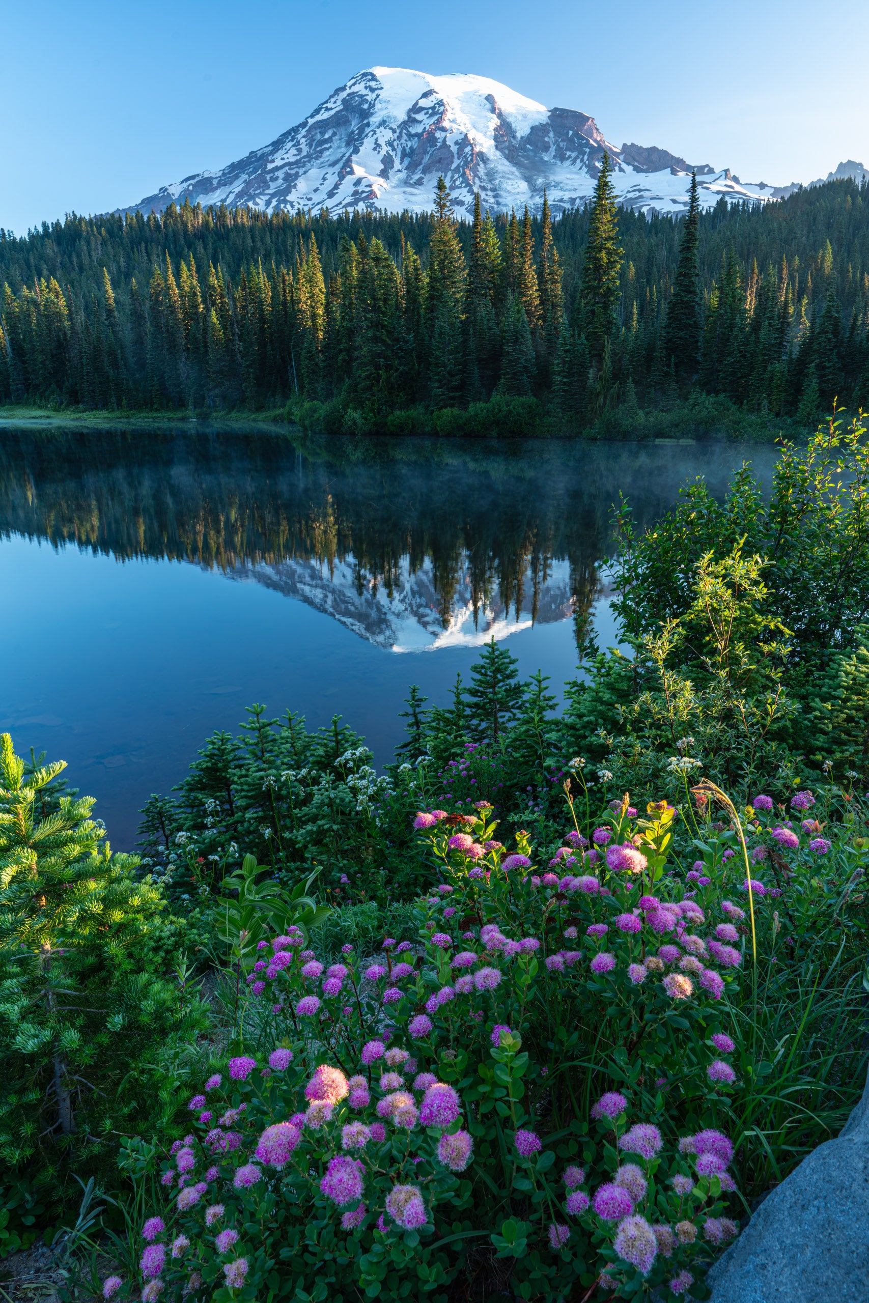 Mt Rainier Morning Reflection - Metal Print