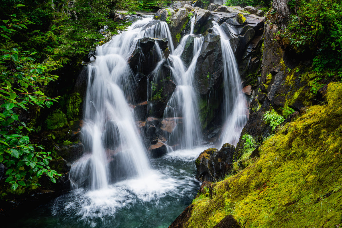Nature Bathing Fine Art Prints Collection - Devotion Photography in the Methow Valley