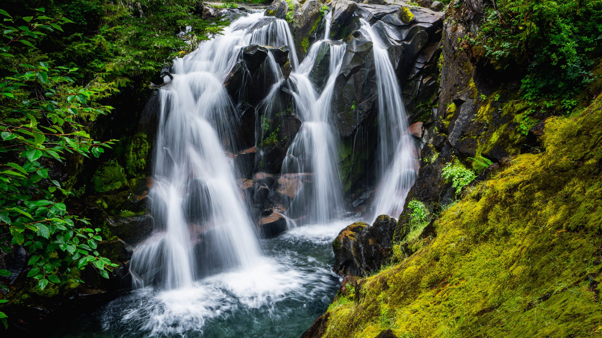 Mount Rainier Paradise Creek Falls - Metal Print